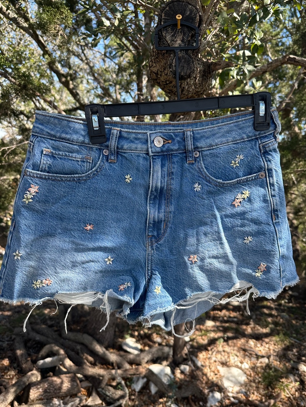 Embroidered jean shorts